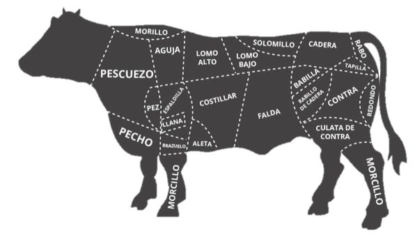 Despiece de una vaca Despiece de una vaca
